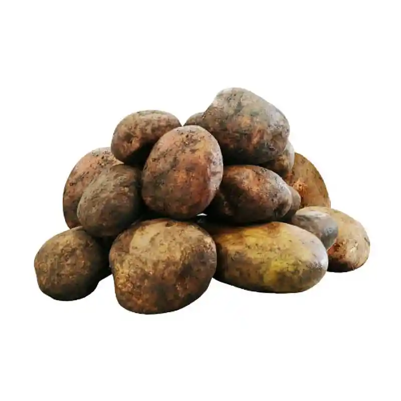 Papa Pastusa